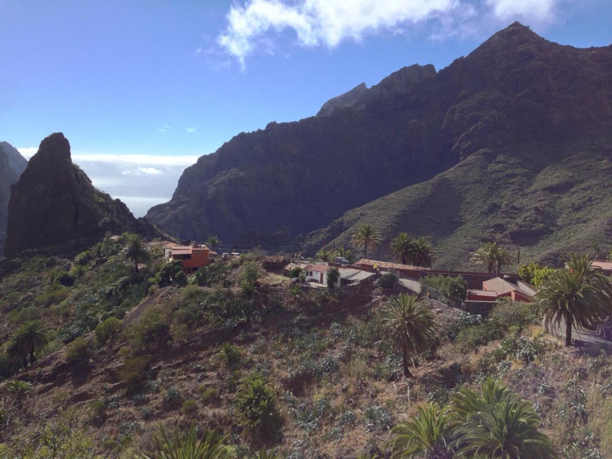 Wifi Tenerife Sur Guest House 格拉纳迪利亚-德阿沃纳 外观 照片
